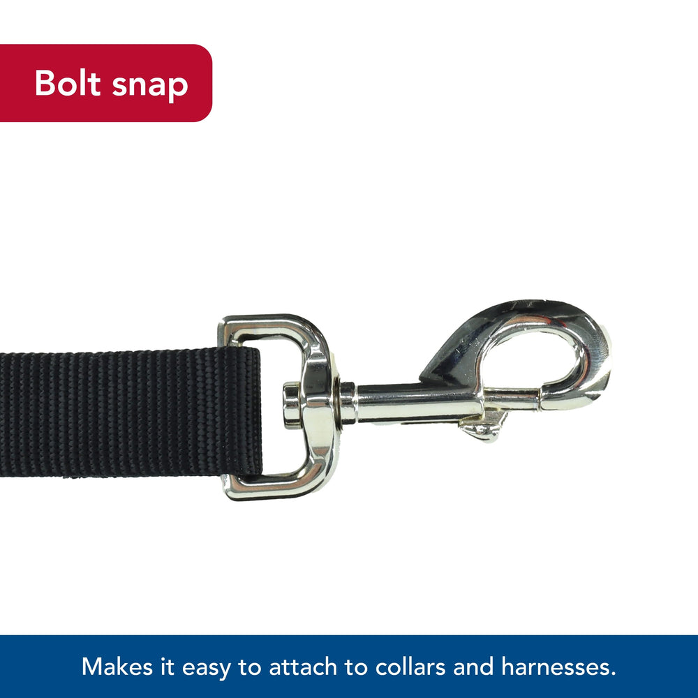 Coastal Pet Single-Ply Dog Leash walking with dog shows optimal control and freedom.