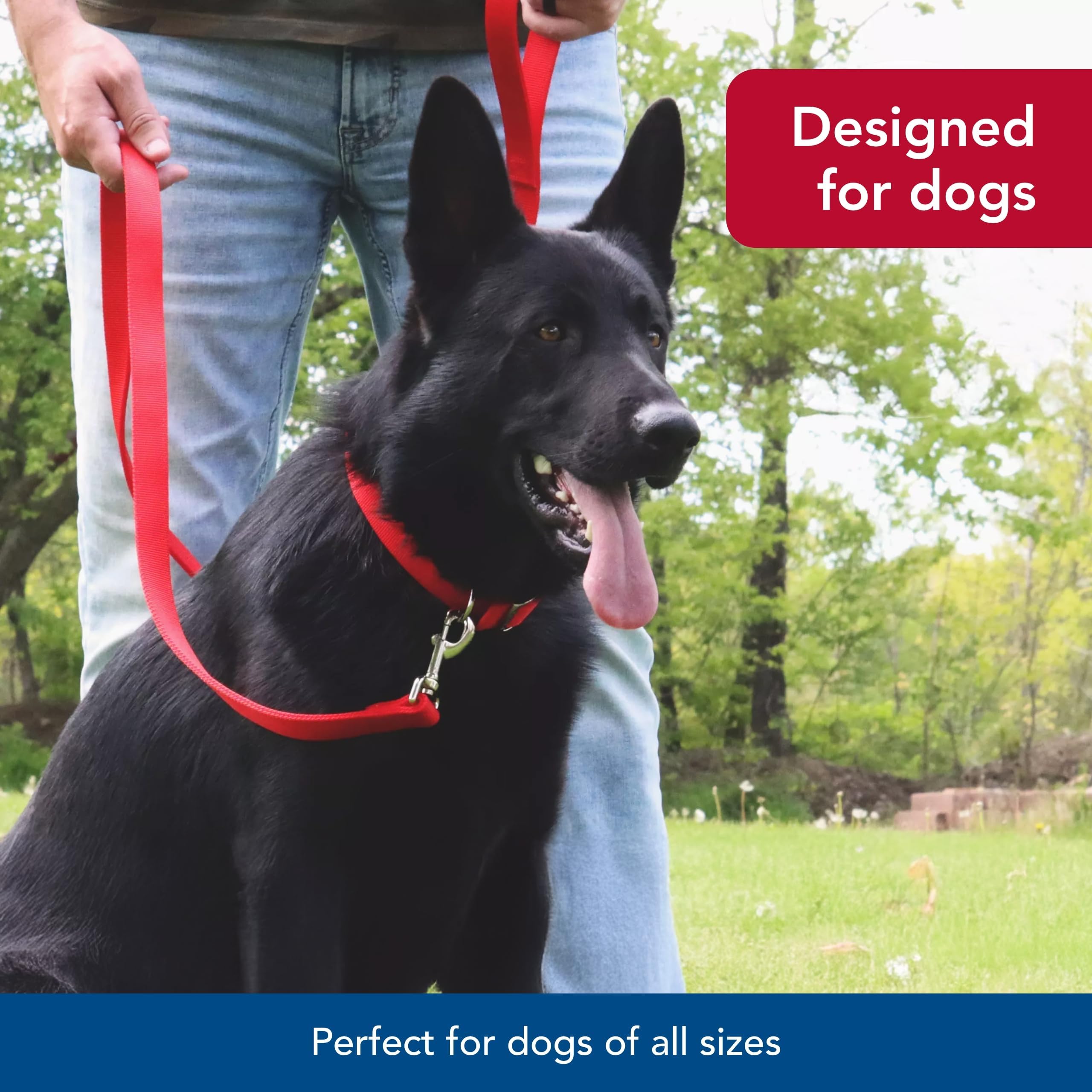 Coastal Pet bolt-snap closure demonstrates reliable connection during walks