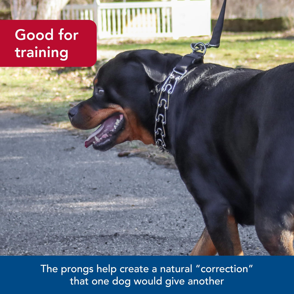 Titan collar demonstrates even pressure distribution around the neck