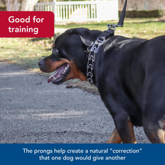 Titan collar demonstrates even pressure distribution around the neck