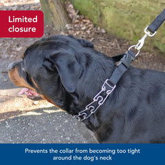Side-release buckle on Coastal Pet Titan for fast, secure fastening