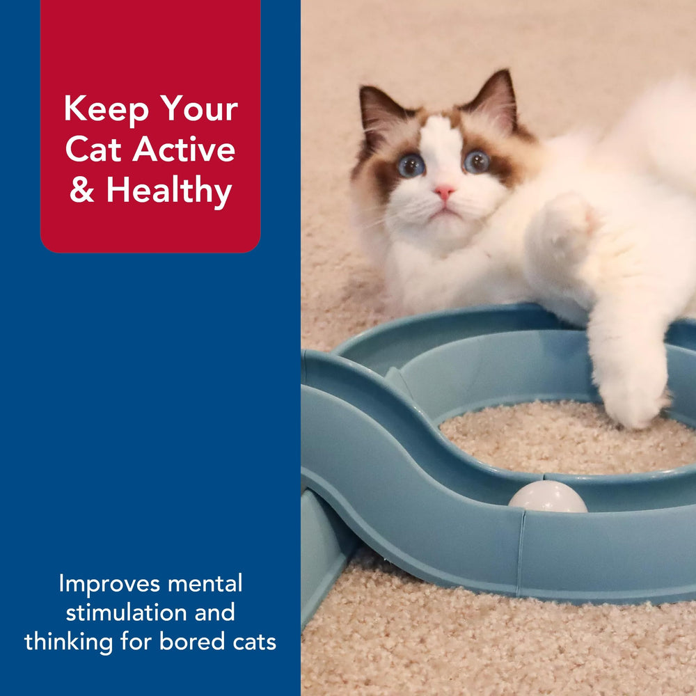Coastal Pet Turbo Track bored-cat enrichment during interactive playtime.