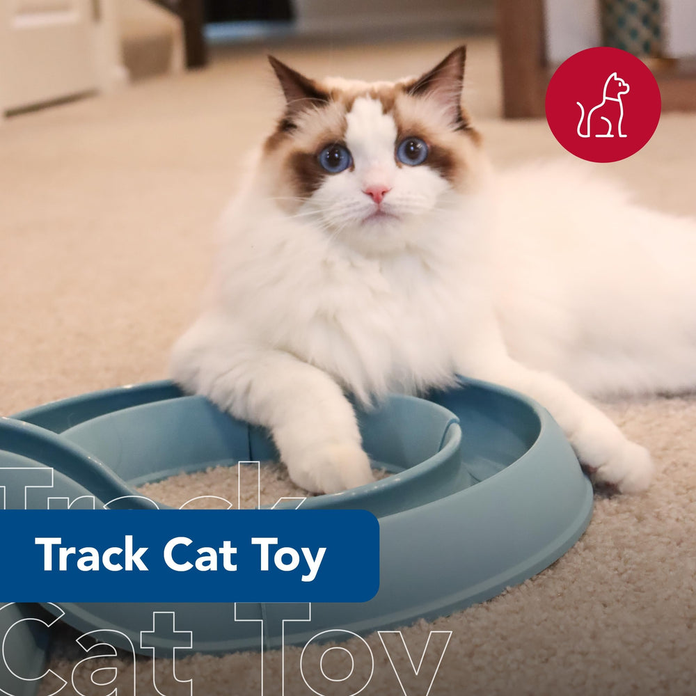 Coastal Pet Turbo Track slate blue ball closeup highlights engaging textures for curious paws.