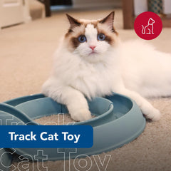 Coastal Pet Turbo Track slate blue ball closeup highlights engaging textures for curious paws.