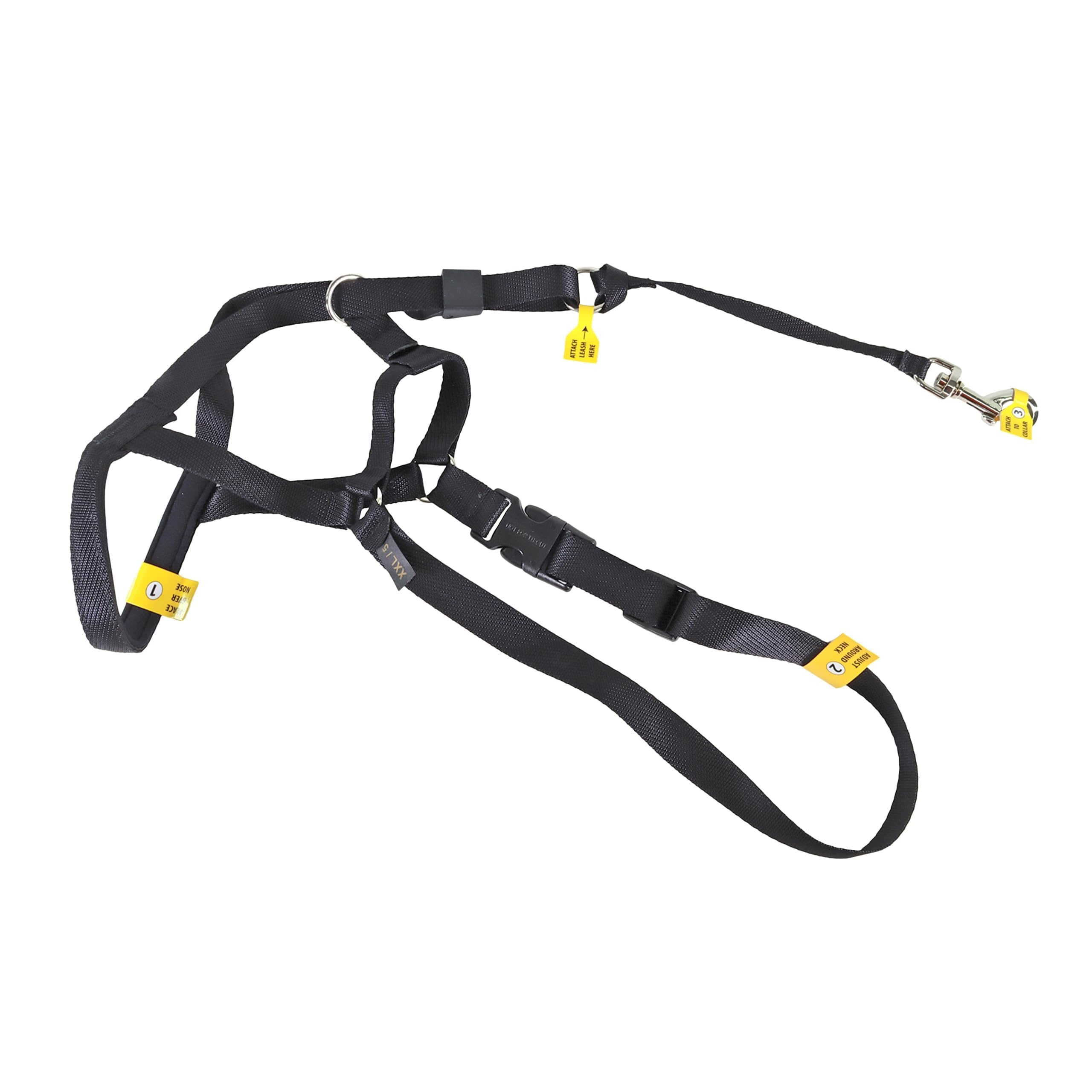 Coastal Pet Walk 'n Train head halter front view demonstrates gentle control for calmer walks