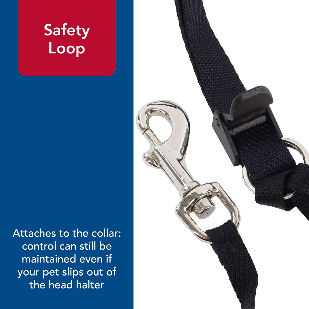 Coastal Pet Walk 'n Train head halter quick-drying-polyester keeps gear comfortable after outdoor play