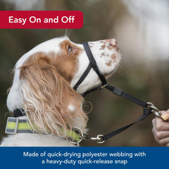 Coastal Pet Walk 'n Train head halter safety-loop enhances security during training sessions
