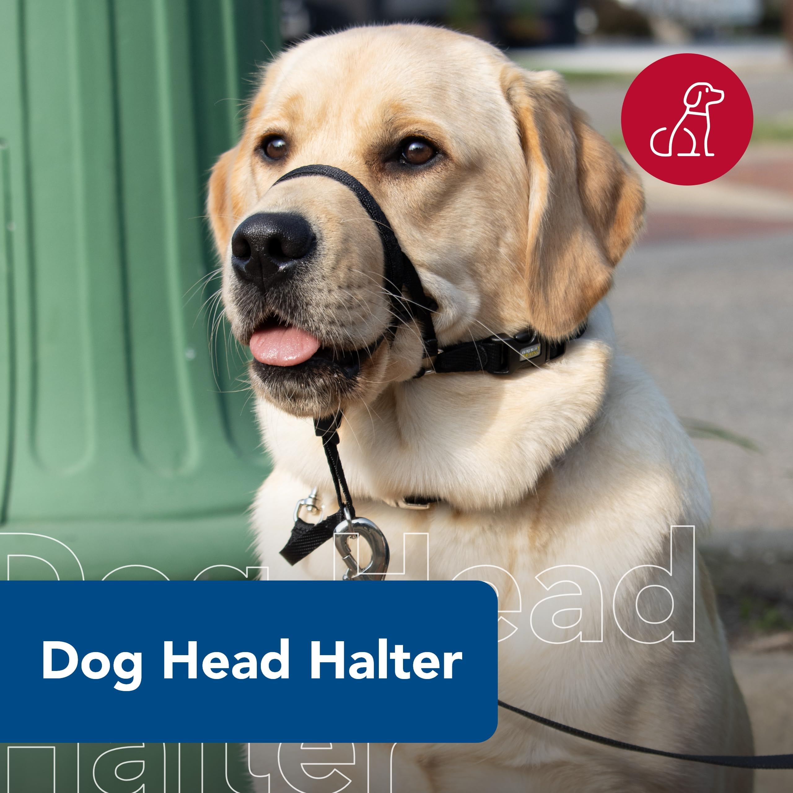 Coastal Pet Walk 'n Train head halter side fit provides comfortable steering during daily strolls