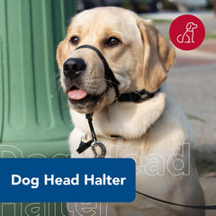Coastal Pet Walk 'n Train head halter side fit provides comfortable steering during daily strolls