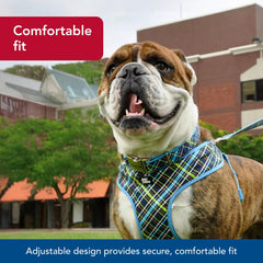 Coastal Ribbon adjustable-fit collar demonstrates secure, comfortable wearing for all sizes