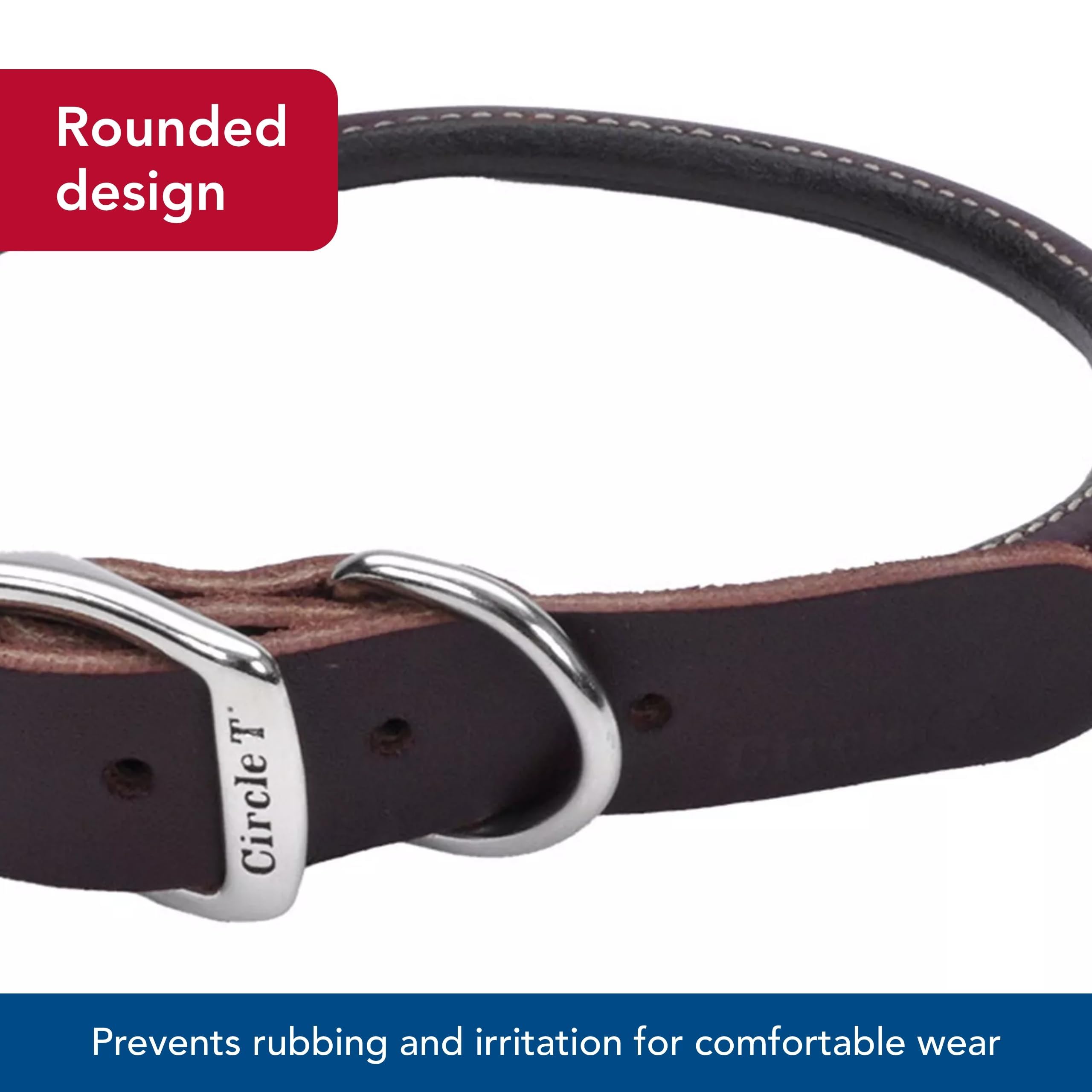 Coastal Circle T round collar worn by a dog for a comfortable fit