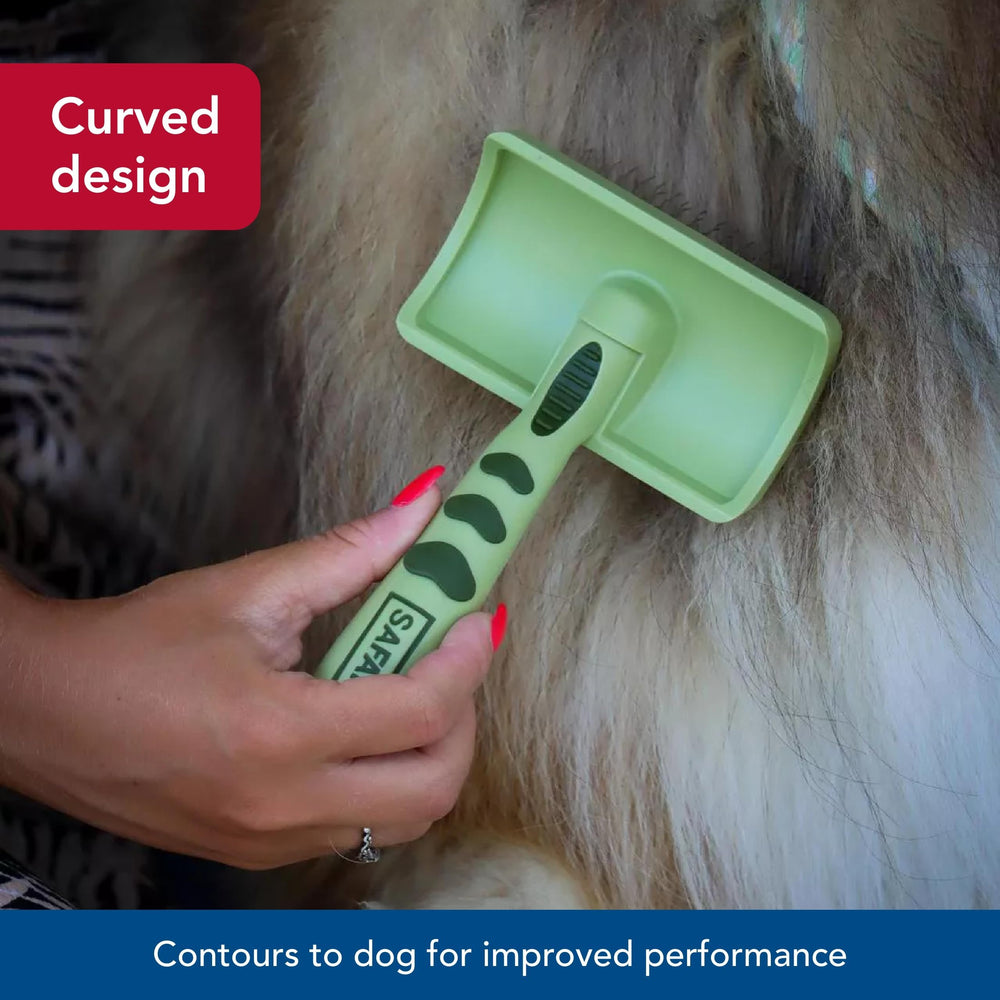 Coastal Safari brush with coated tips protects skin during brushing sessions