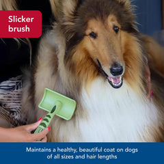 Coastal Safari brush features extra-long pins for long-hair grooming thoroughness