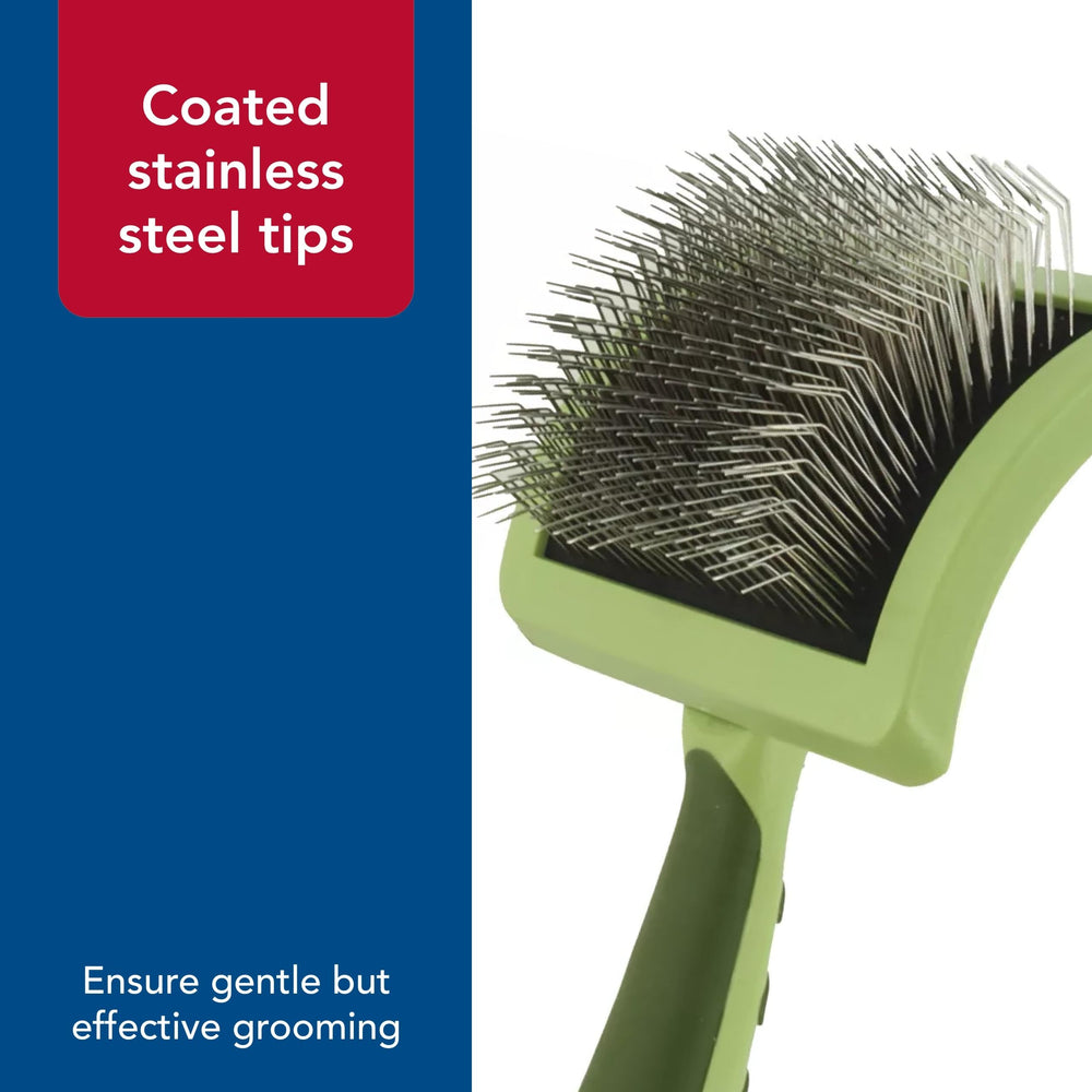 Coastal Safari medium-size brush suits medium-length coats for balanced grooming