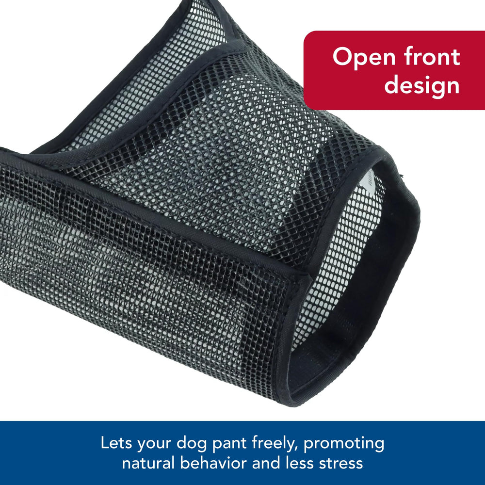Coastal Temporary Muzzling for Grooming Sessions reduces handling stress.
