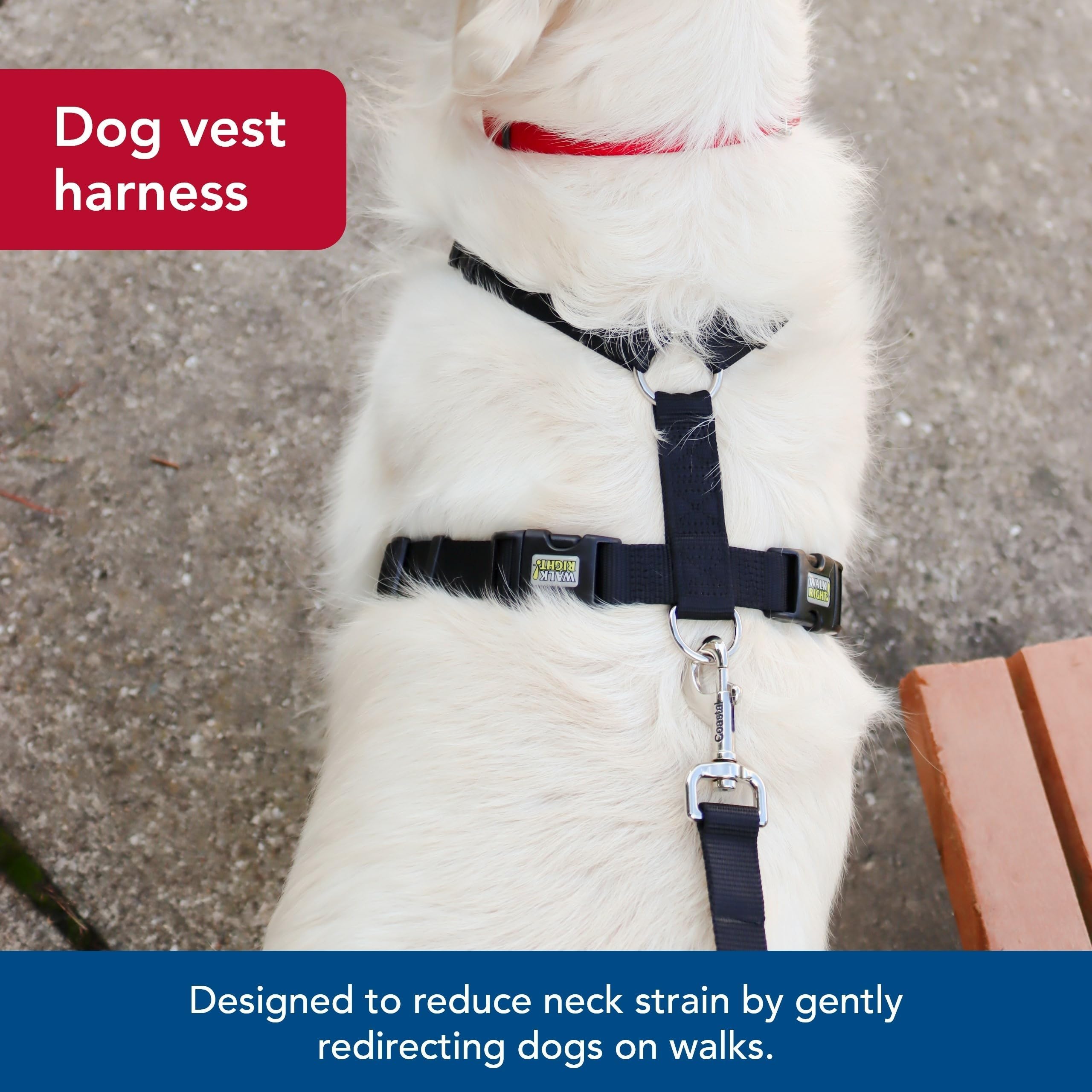 Coastal Walk Right over-the-head design depicted for effortless wear.