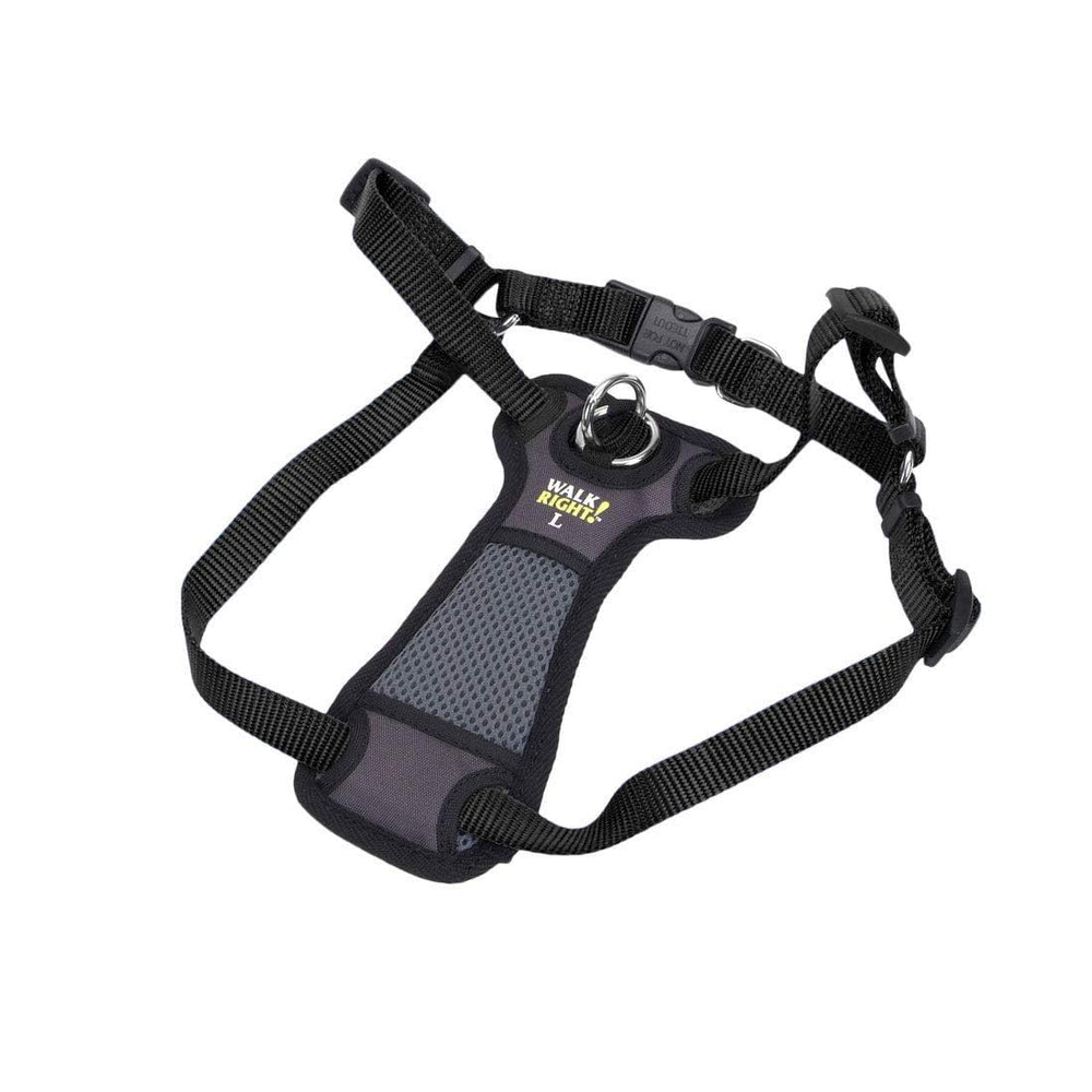 Coastal Walk Right padded chest close-up highlighting comfortable padding.