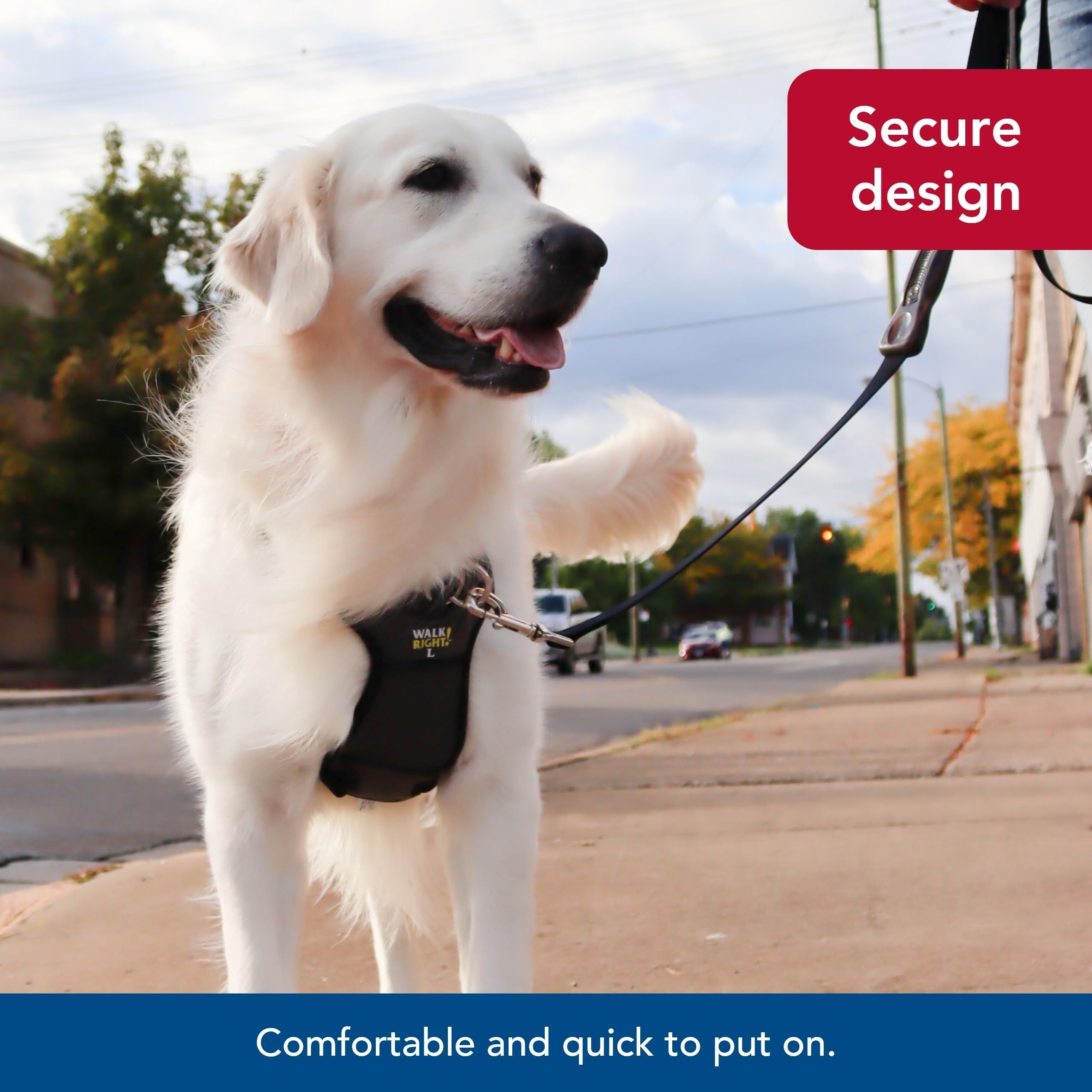 Coastal Walk Right Front-Connect Padded Harness adjustable-fit adapts to growing dogs and various breeds.