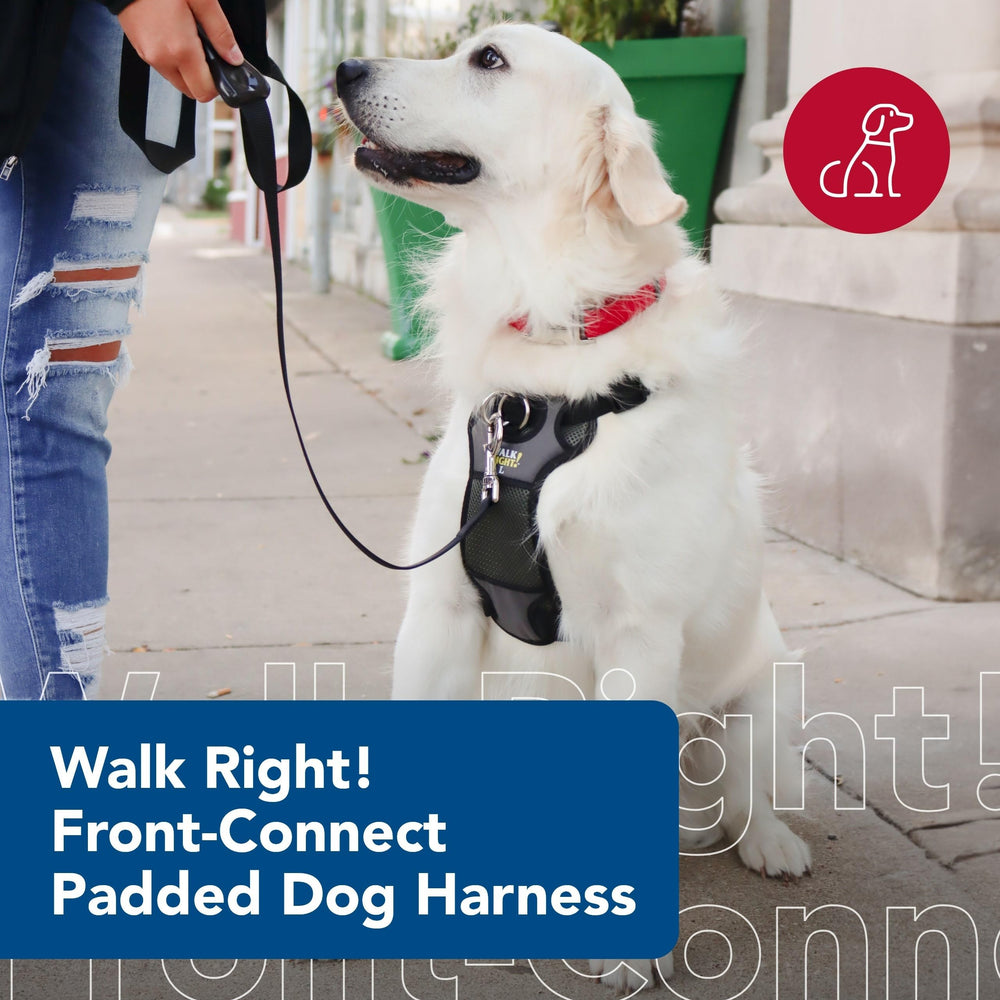 Coastal Walk Right Front-Connect Padded Harness chest-strap redirects attention without neck strain.