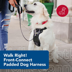 Coastal Walk Right Front-Connect Padded Harness chest-strap redirects attention without neck strain.