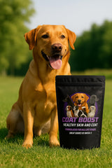 Canine Performance Nutrition Coat Boost dog food topping sprinkle enhances meals and coat health