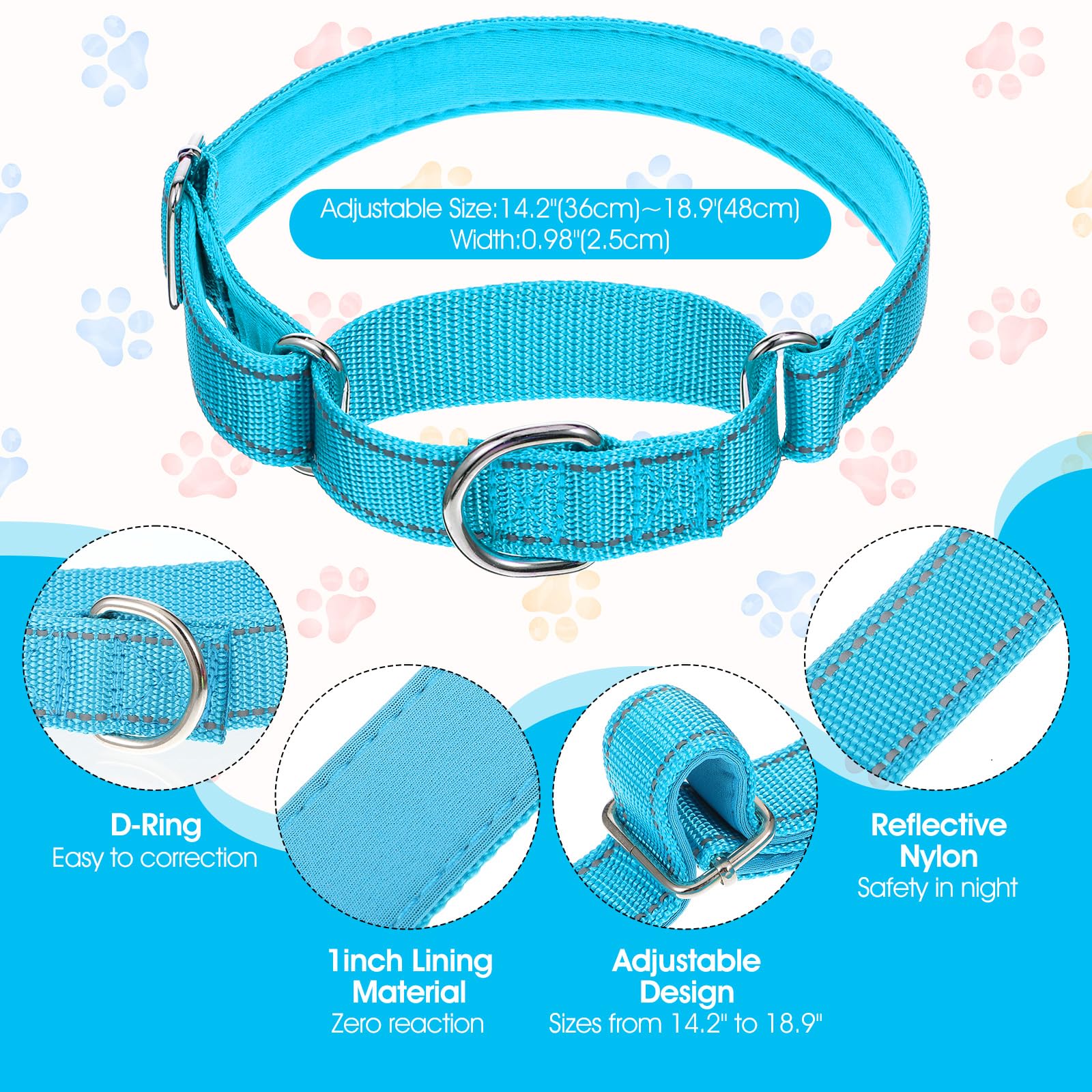 Cobee nylon collar with reflective stitching, enhancing visibility on evening walks.