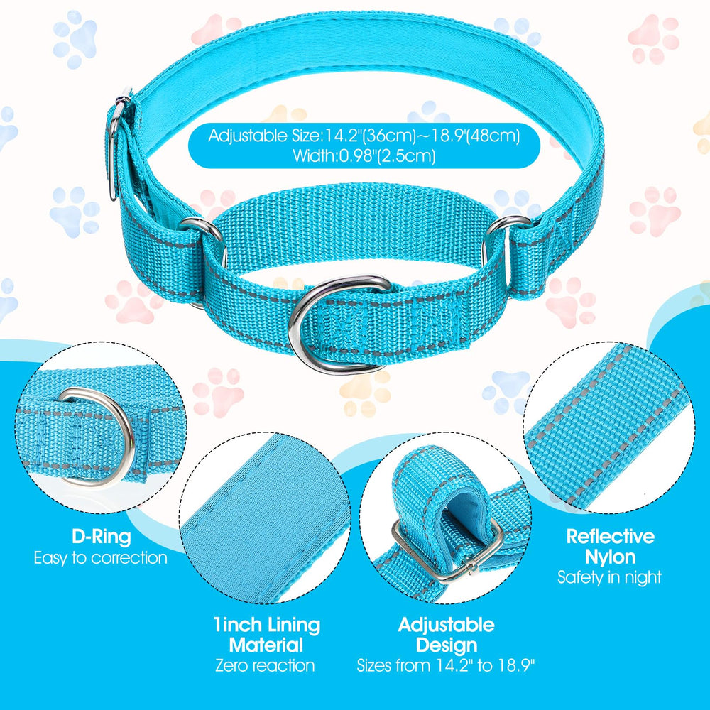Cobee nylon collar with reflective stitching, enhancing visibility on evening walks.