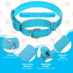 Cobee nylon collar with reflective stitching, enhancing visibility on evening walks.