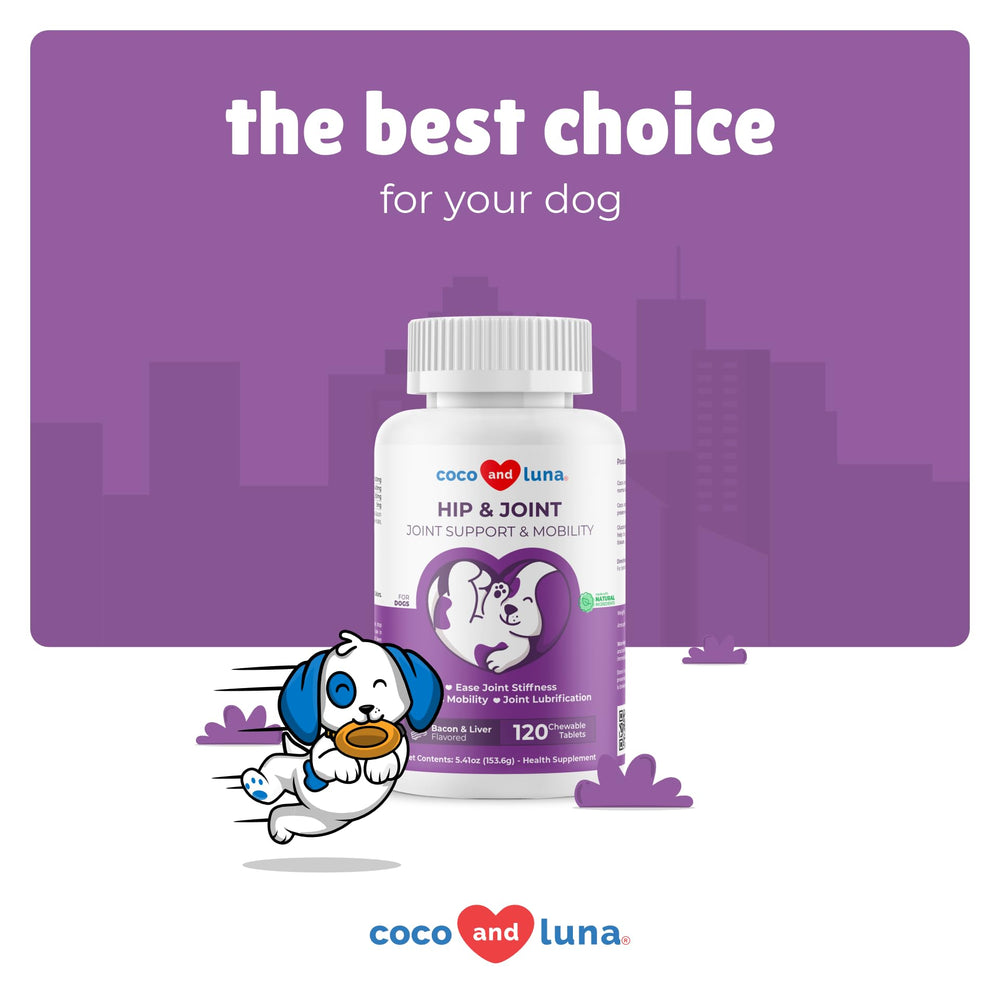 Coco and Luna dog at play demonstrates mobility support.