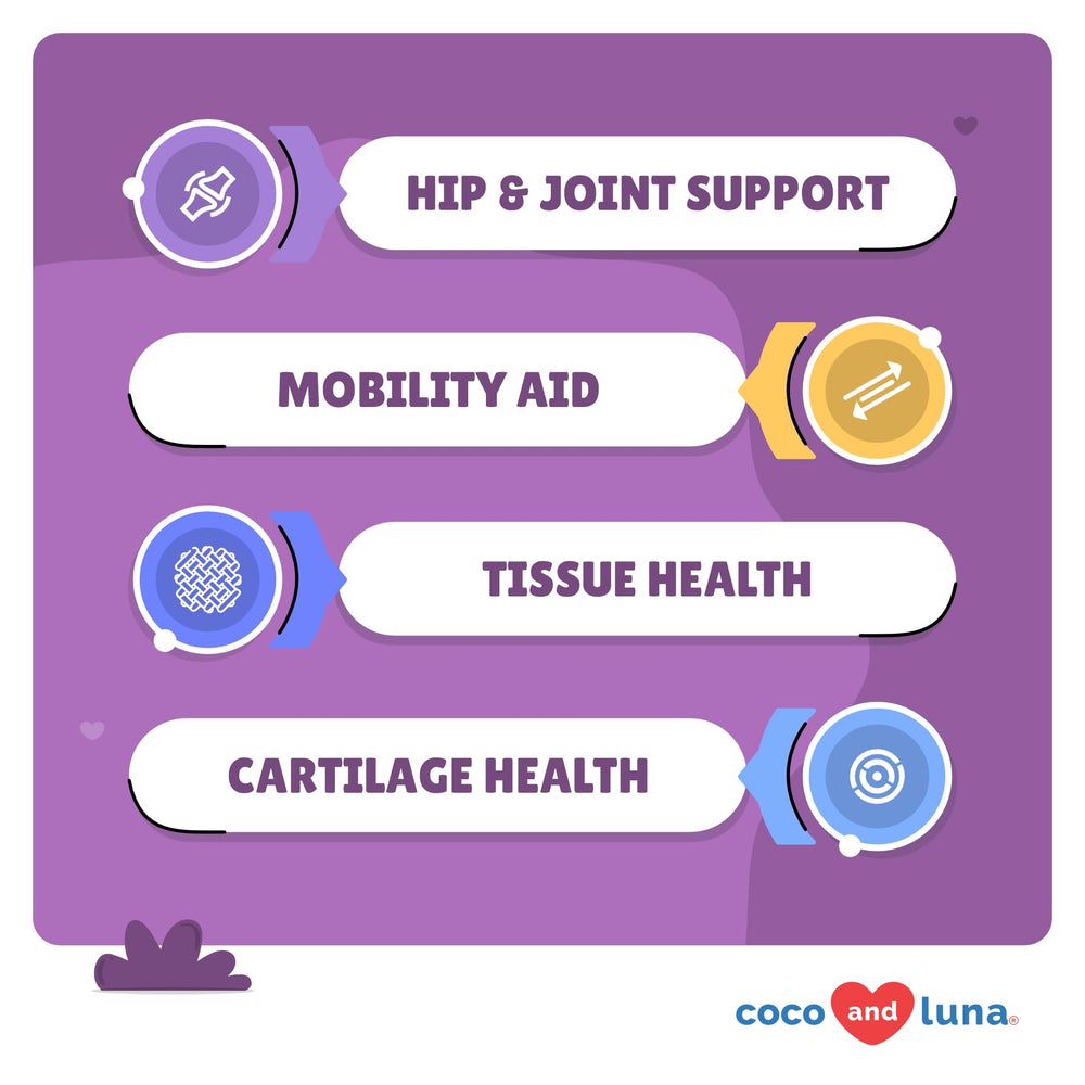 Coco and Luna glucosamine tablets close-up help preserve joint integrity.