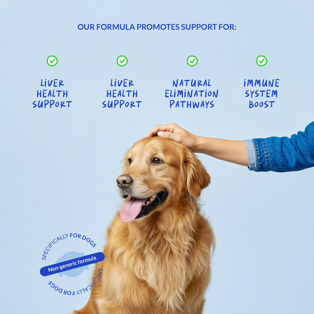 Coco and Luna Milk Thistle Drops bottle closeup highlighting liquid formula for gentle liver support.
