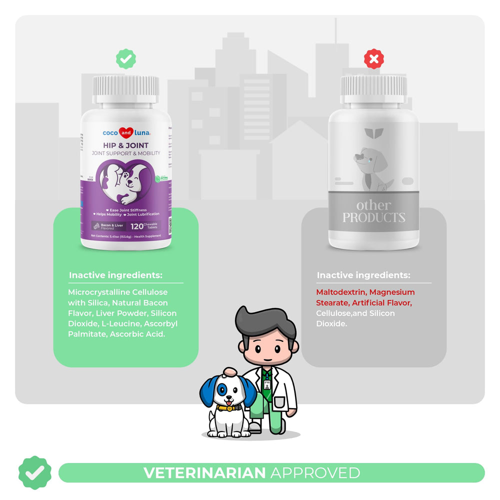 Coco and Luna MSM bottle with paw print for supportive joint comfort.