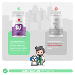 Coco and Luna MSM bottle with paw print for supportive joint comfort.