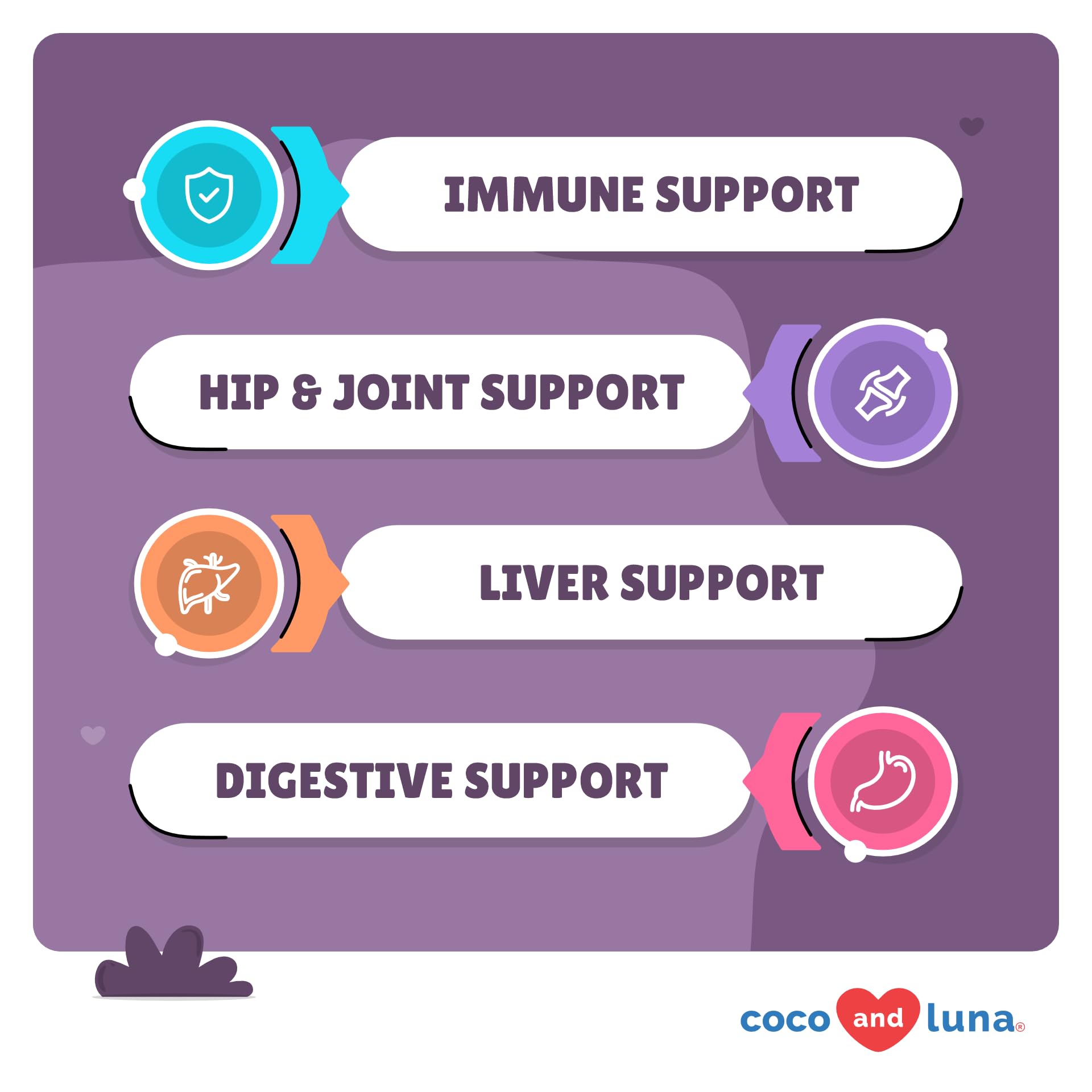 Coco and Luna Mushroom Complex chews on hand — joint comfort possibility.