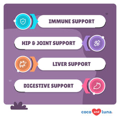 Coco and Luna Mushroom Complex chews on hand — joint comfort possibility.