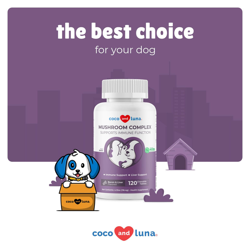 Coco and Luna packaging — 120 chewable tablets for daily wellness.