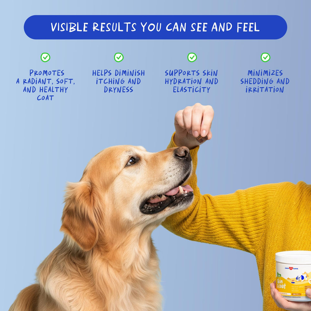 Coco and Luna Omega3 dog coat shine image shows healthier-looking fur and less scratching