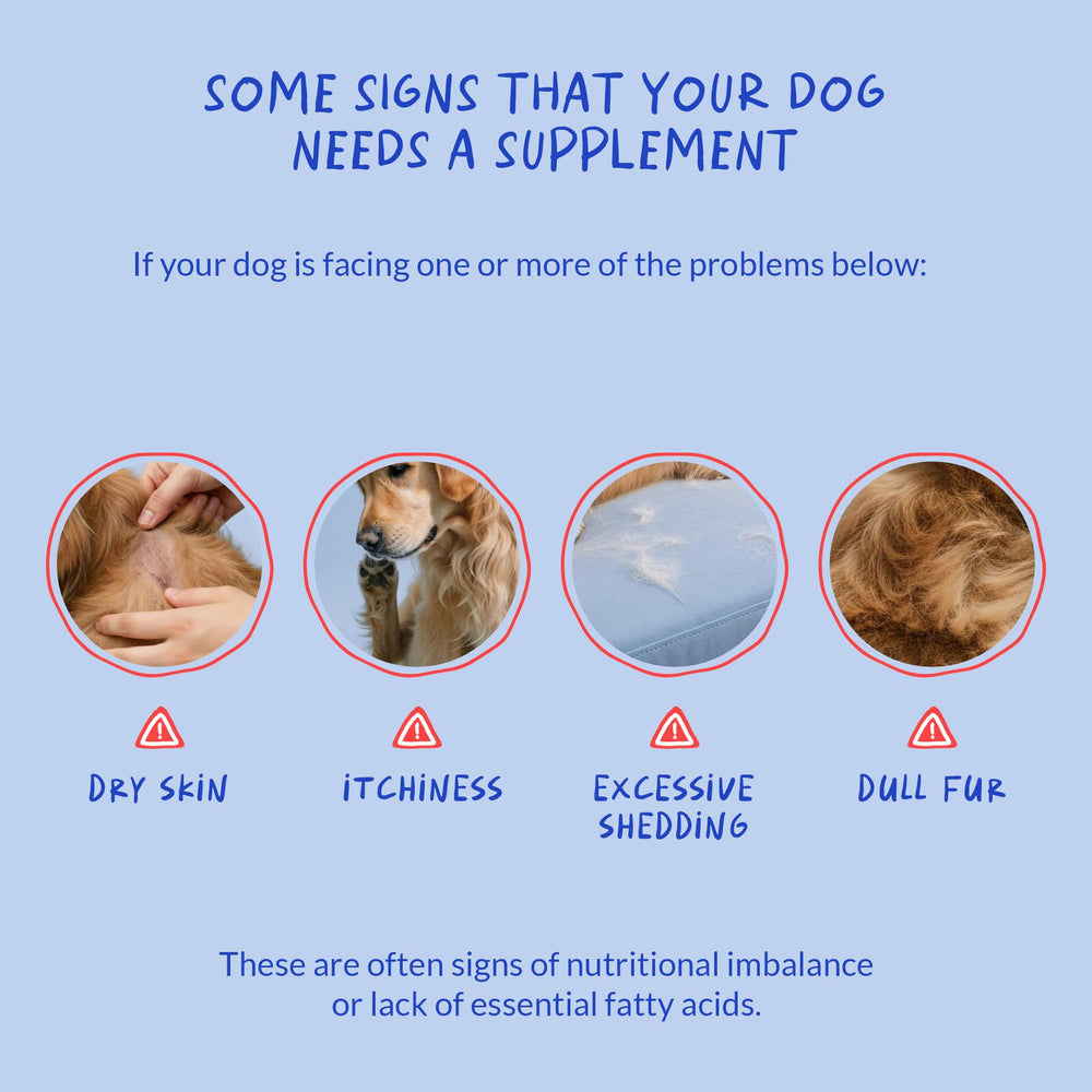 Coco and Luna Omega3 dogs ingredients photo confirms algae and fish oil sources