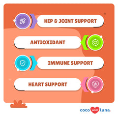 Coco and Luna turmeric dogs chews close-up highlighting tasty chews for pain relief.