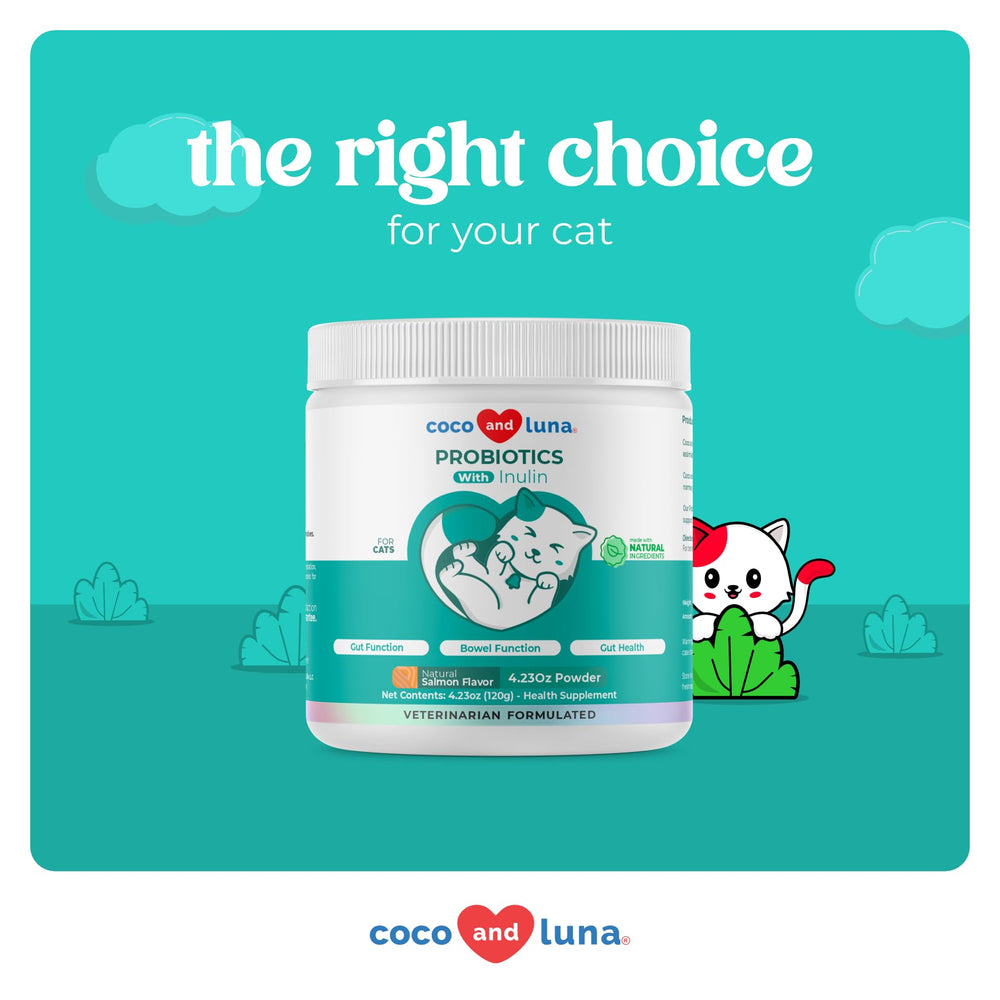 Coco and Luna vet-formulated cat probiotic formula highlights quality and care.