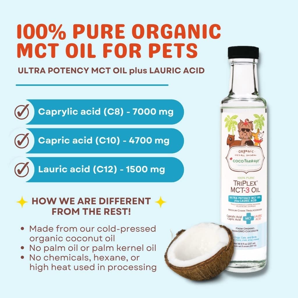 CocoTherapy Triplex MCT-3 Oil daily-use setup with smoothies