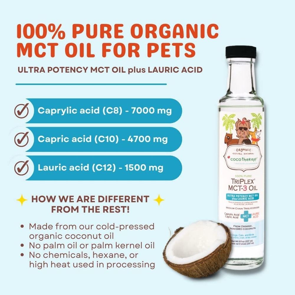 CocoTherapy Triplex MCT-3 Oil daily-use setup with smoothies