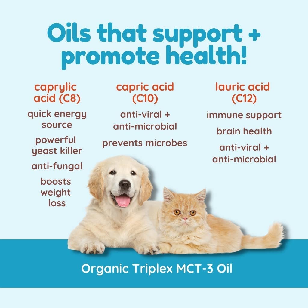 CocoTherapy Triplex MCT-3 Oil usage ritual visual for energy and focus