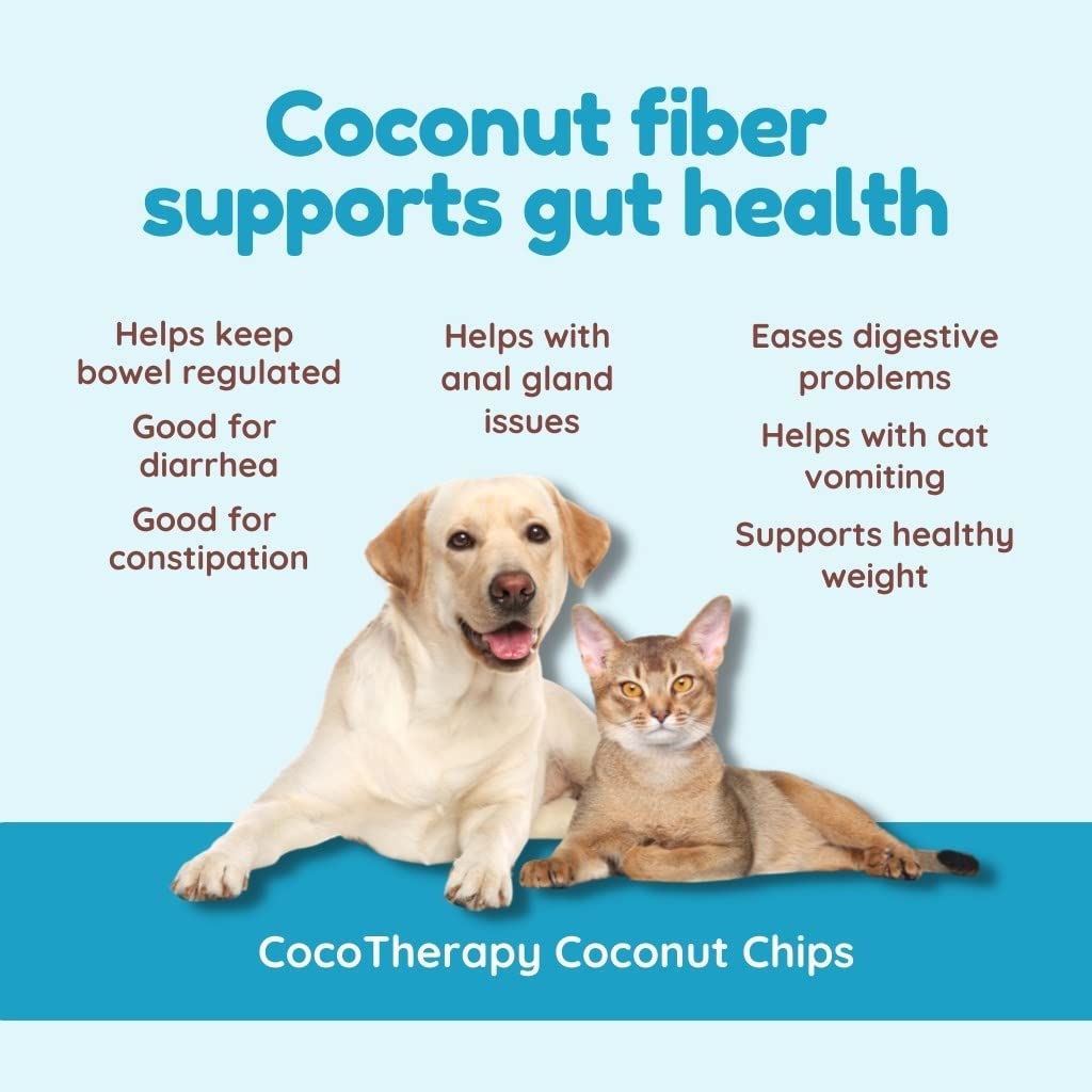 CocoTherapy coconut chips closeup crisp texture and golden color for trail snacks.