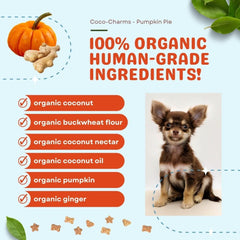 CocoTherapy dog-training treats designed for small dogs as rewards during training.