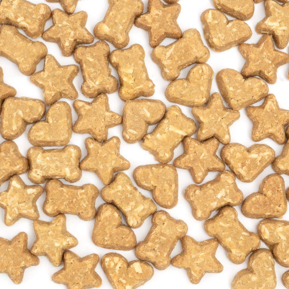 CocoTherapy Pumpkin Pie Coco-Charms closeup ingredients featuring coconut and pumpkin.