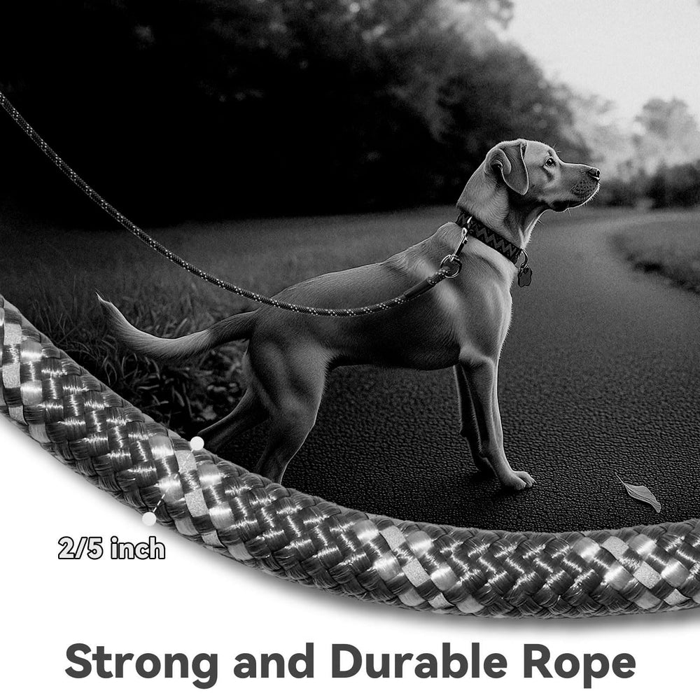Codepets nylon dog leash 10ft ideal for longer outdoor sessions and training
