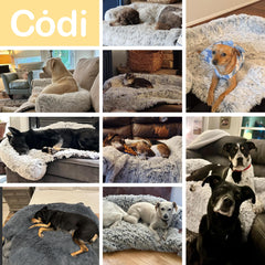 Codi calming dog bed machine-washable cover for easy cleanup after shedding.