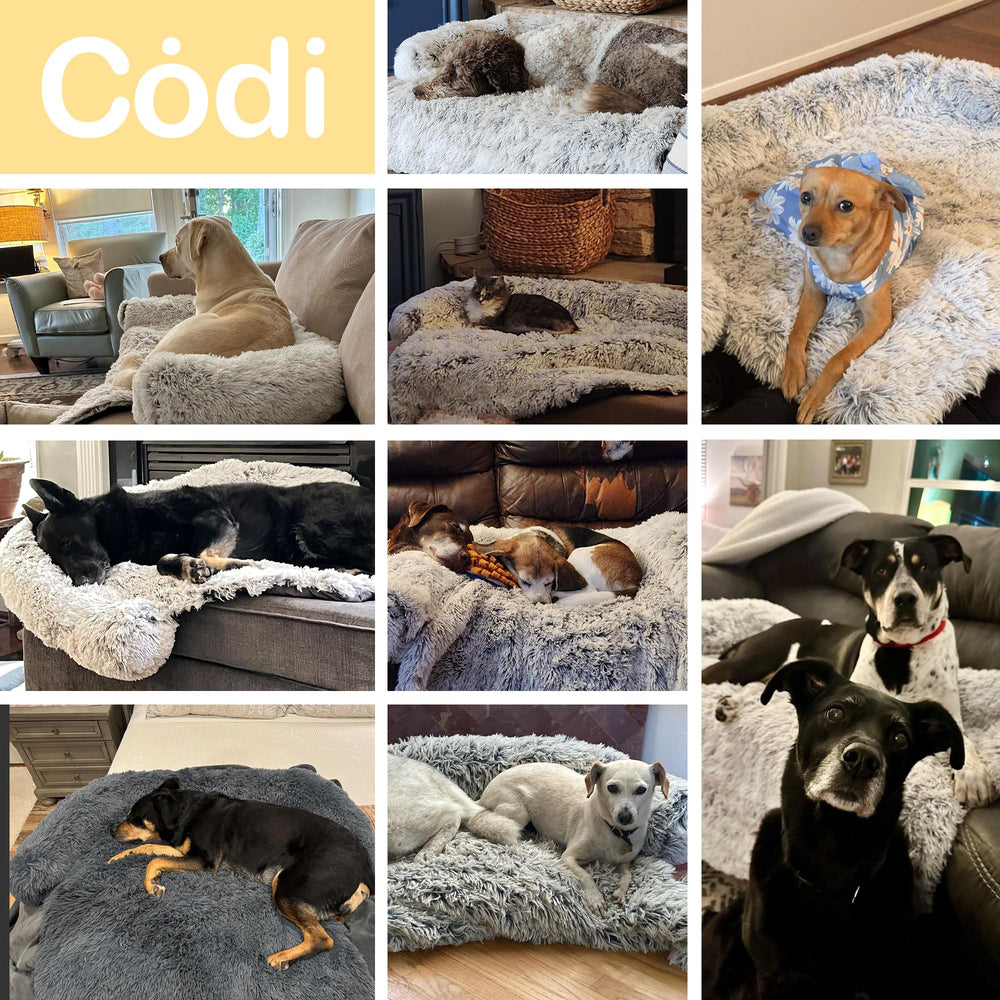 The Codi bed’s non-slip bottom keeps it in place during naps or play.
