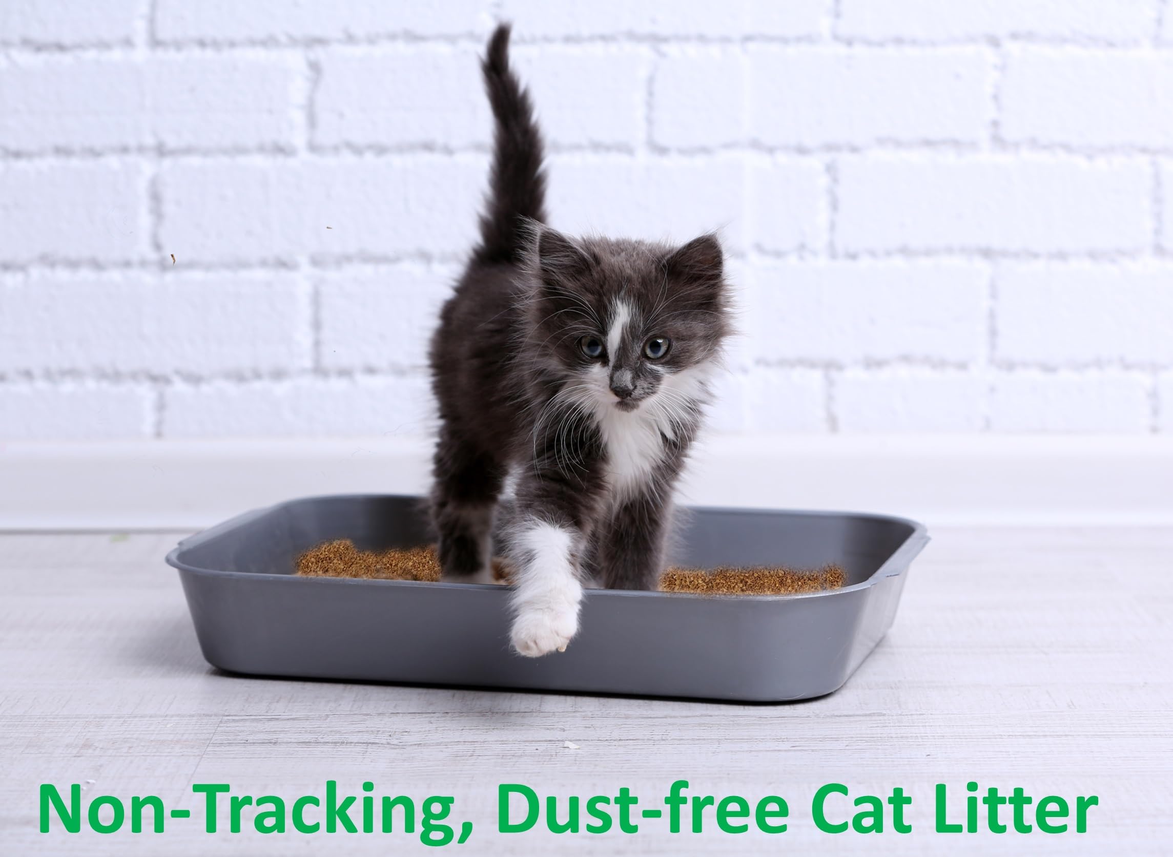 Coir Wonder biodegradable eco-friendly litter highlights plant-based, fragrance-free option